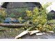 Sturm w&uuml;tet im Landkreis Weilheim-Schongau