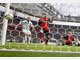 fu&szlig;ball bundesliga