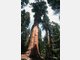 Rekorde Tourismus Welt Reise