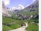Im Frühtau zu Berge? Nein danke!