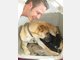 Hundegeburt live bei Antenne Bayern