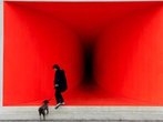 Freising: Stadtführung und Kulturgenuss mit Hund