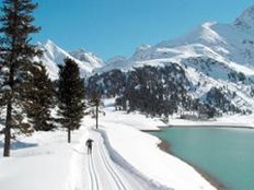 K&uuml;htai &Ouml;sterreich Ski Stausee L&auml;ngental