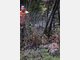 Wilde Fuchsjagd durch Unterhaching