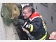 Wilde Fuchsjagd durch Unterhaching