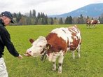 Ausflugtipps: Horizont-Erweiterung bei einer Wanderung rund um Wackersberg