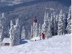 Seefeld in Tirol