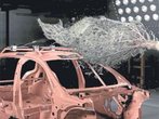 Vorsicht beim Baum-Transport