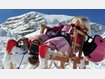Skigebiete für Familien