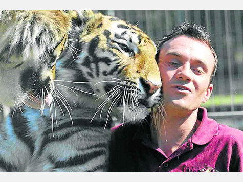Gastierte mit dem Zirkus Crocofant in Geretsried: Christian Walliser. Bei einer Tigerattacke wurde der Dompteur schwer verletzt. Foto: archiv Gastierte mit dem Zirkus Crocofant in Geretsried: Christian Walliser. Bei einer Tigerattacke wurde der Dompteur schwer verletzt. Foto: archiv