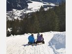 Münchner Hausberge - zum Schlittenfahren zum Brauneck oder nach Wegscheid