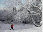 Winter-Wandern in Bayrischzell: Tour zum Sillberghaus