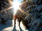 Ski & Schnee: Wandern am Blomberg