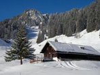 Skifahren in Brauneck - Hütten: Kotalm, Stielam und Tölzer Hütte