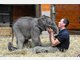 Verr&uuml;ckte Fan-Artikel mit Elefanten-Baby "Jamuna" aus dem Tierpark Hellabrunn