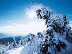 Ein Winterurlaub im Bayerischen Wald: Wintersport, Natur, Erholung und Wellness