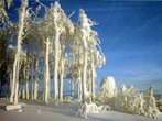 Die Skiregion St. Englmar ist ein Naturparadies im Bayerischen Wald