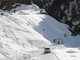 So sterben die Schweine im Schnee