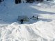 So sterben die Schweine im Schnee