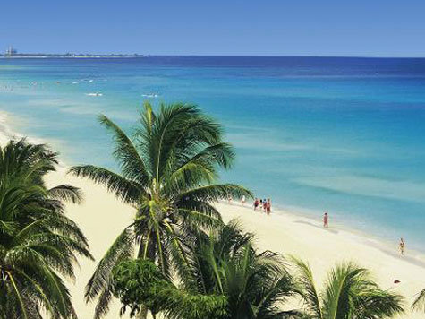 Palmenstrand Trends Ziele Reise