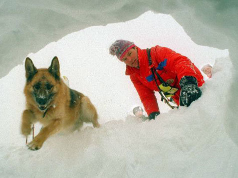 Lawine Hund Bergung