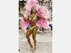 Karneval Samba Rio