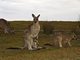 Australien Norden New South Wales Australien Norden New South Wales
