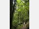 Australien Norden New South Wales Australien Norden New South Wales