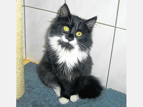 Minou (l.) und Flori wollen zusammenbeiben. Fotos: tb Minou (l.) und Flori wollen zusammenbeiben. Fotos: tb