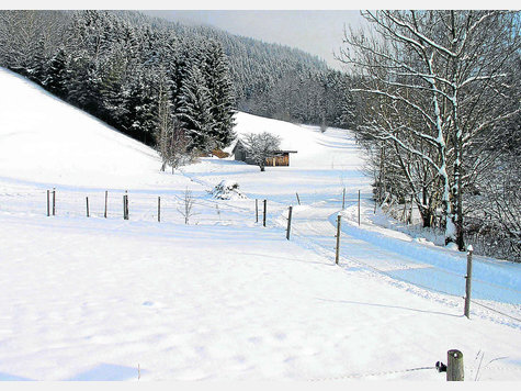 Streitpunkt: die Romanshöhe in Oberammergau. foto: archiv Streitpunkt: die Romanshöhe in Oberammergau. foto: archiv