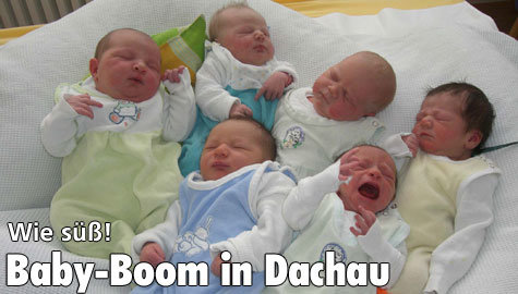 Dachauer Baby-Boom