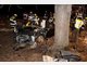 Unfall bei Berg: Mini kracht gegen Baum