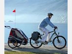 Test: Fahrradanhängersysteme für Kinder