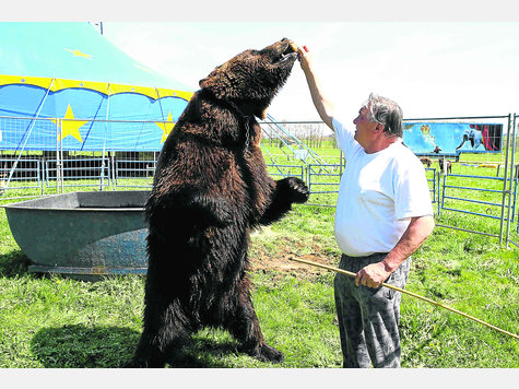 „Big Grizzly“ in voller Größe mit seinem Herrchen Harry Francesco auf der Wiese in Peiting. foto: hh „Big Grizzly“ in voller Größe mit seinem Herrchen Harry Francesco auf der Wiese in Peiting. foto: hh