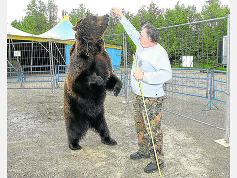 „Er kennt nichts anderes“: Dompteur Francesco Harry mit seinem Kamtschatka-Bär Ben. Tierschützer nehmen Anstoß an der Dressur. Foto: Pröhl/Archiv „Er kennt nichts anderes“: Dompteur Francesco Harry mit seinem Kamtschatka-Bär Ben. Tierschützer nehmen Anstoß an der Dressur. Foto: Pröhl/Archiv