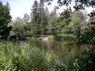 Schönauer Weiher