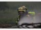 Ein Opfer der Flammen: die landwirtschaftliche Lagerhalle in der Riegerau.