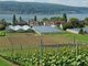 Deutschland: 34 UNESCO Welterbest&auml;tten