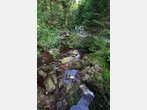 Auf schmalen Stegen ins Hohe Venn: Wanderrouten in der Wallonie