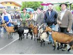 Bauernwochen 2010: 1000 Menschen verfolgen Goaßn-Abtrieb in Mittenwald