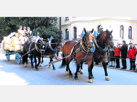 Mit Gespann und M&uuml;llerwagen will der Schongauer Landwirt Franz Re&szlig;le am Sonntag Kinder durch Schongau kutschieren.