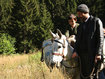 Kinostart: Bal-Honig