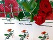 Scheidung: Rosenkrieg ums Haus wird teuer