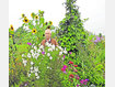 P&auml;chter Herbert Ludwig auf seinem &bdquo;Sonnenacker&ldquo; in Vaterstetten. Foto: StefanRossmann