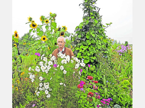 P&auml;chter Herbert Ludwig auf seinem &bdquo;Sonnenacker&ldquo; in Vaterstetten. Foto: StefanRossmann