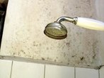 Verschimmelte Tapeten vor dem Entfernen abkleben