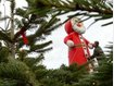 Weihnachtlicher Zauberwald in Bogenhausen