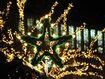 Adventsmarkt Waldram