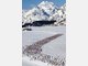 ADAC: Die Top-Skigebiete 2010 in den Alpen