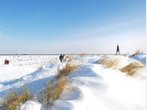 Nordsee: Cuxhaven ohne Seehundsbänke - im Winter ungestört die Natur genießen